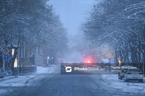 Ağ örpəyə bürünən Bakı küçələrindən FOTOREPORTAJ